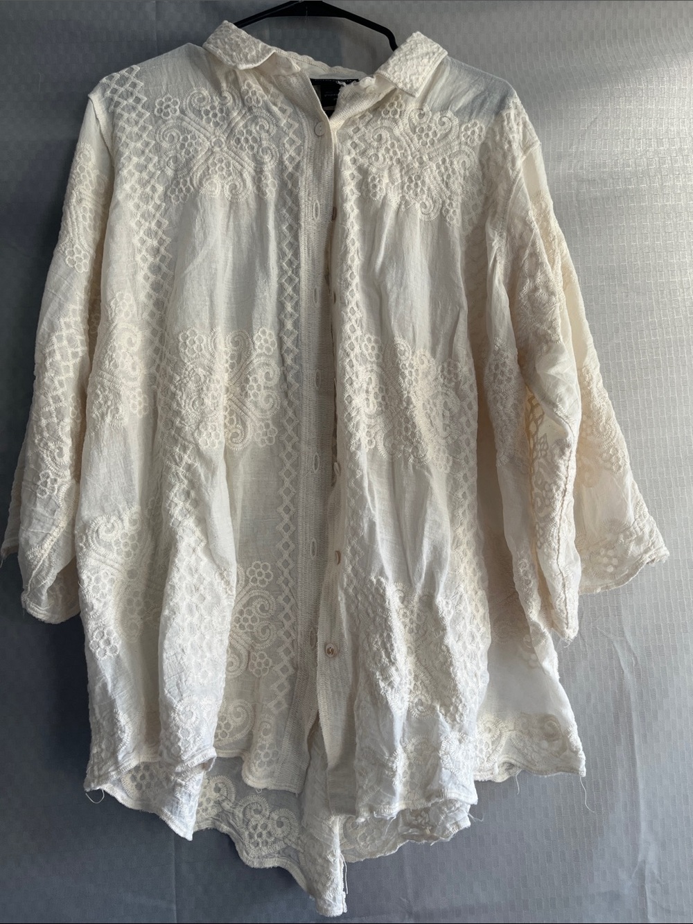 Lace Embroidered Button-Up Tunic Blouse in Cream
